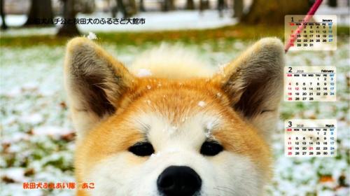 ձȮ˹ӭ ƳȮ(ͼ)